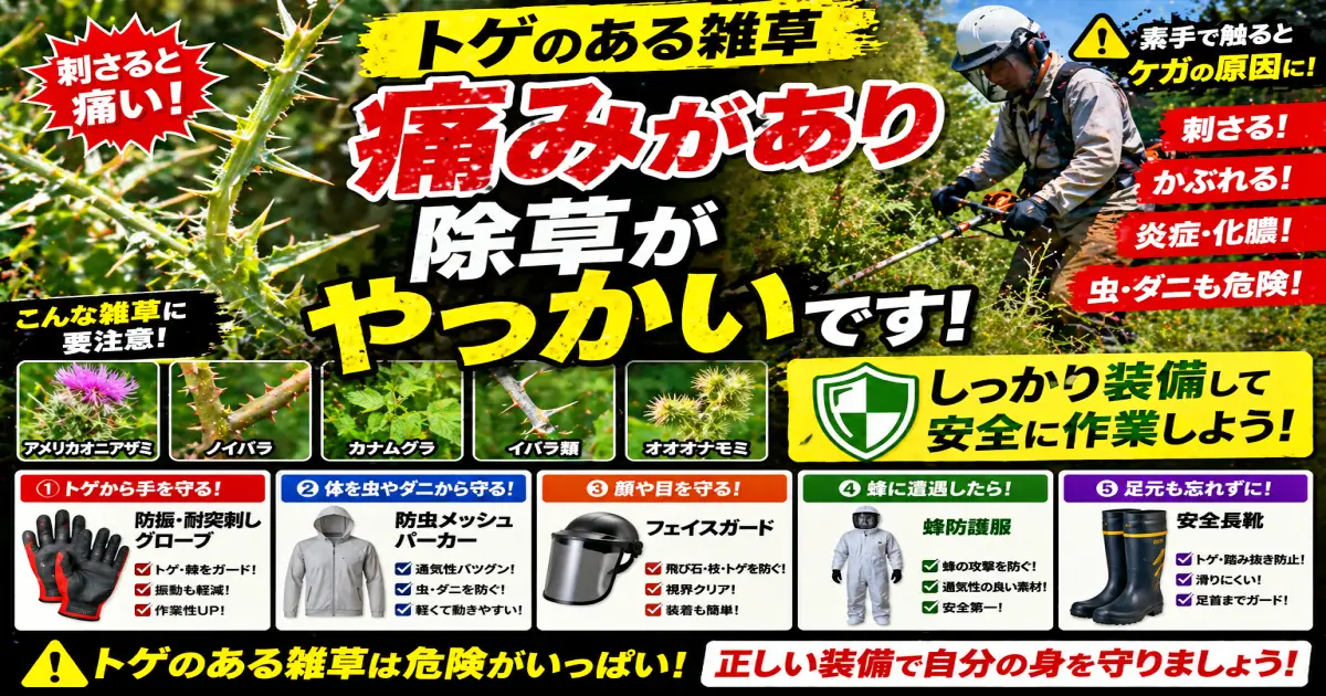ゲのある雑草 痛みがあり除草がやっかいです