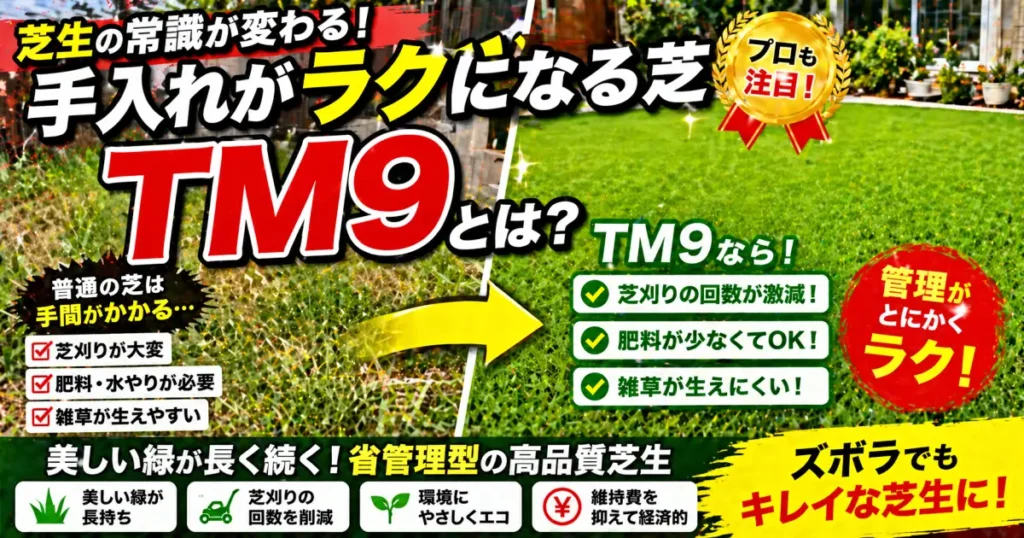 トヨタ が開発した 芝ＴM９｜ 半分以下の草刈りと肥料で芝生の美しさを追求 管理の省力化を実現 プレミアムコウライシバ（高麗芝）