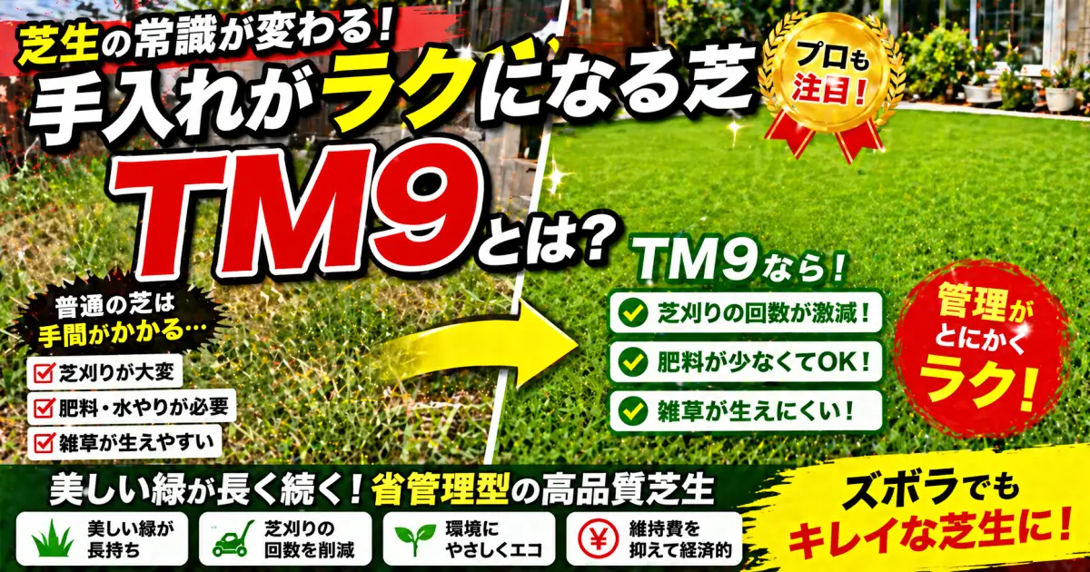 トヨタ が開発した 芝ＴM９｜ 半分以下の草刈りと肥料で芝生の美しさを追求 管理の省力化を実現 プレミアムコウライシバ（高麗芝）