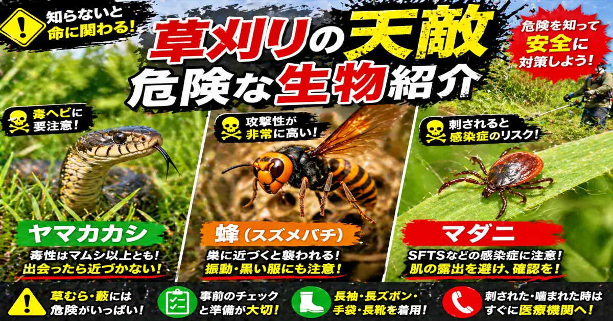 草刈りの天敵 危険な生物紹介 　ヤマカカシ・蜂・マダニ